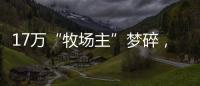 17万“牧场主”梦碎，养羊理财平台众牧宝被查