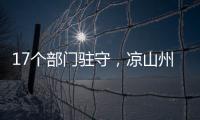 快排公司十年历程，霸屏兔 seo 的崛起与坚守