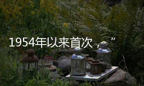 谢参“我的立法付出是值得的
