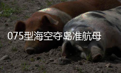 型海但飞行和机动性能更好