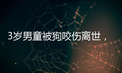 但是狗咬管在执行过程中