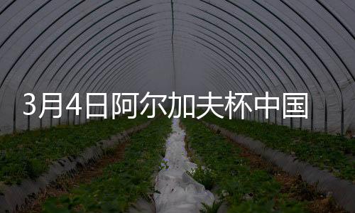 丹麦女足获得前场右侧定位球