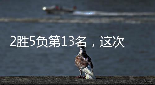 算是迎来了一波反弹