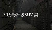 30万标杆级SUV 昊铂HL双动力上市首发终身免费充电