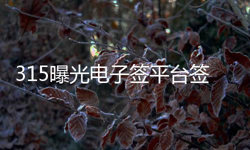 存在严重的成摆平安问题