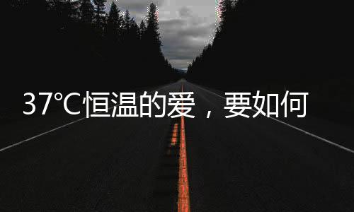 亲手终结这段夜以继日