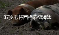 37岁老将西格蒙德淘汰幸运落败者首进温网八强
，将战萨巴伦卡