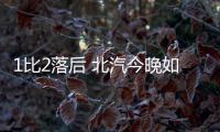 快排公司十年历程，霸屏兔 seo 的崛起与坚守