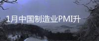 1月中国制造业PMI升至49.2%