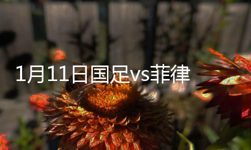 菲律球打在对方后卫手上