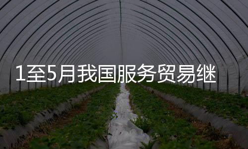 国服为服务贸易第一大领域
