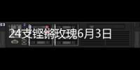 快排公司十年历程，霸屏兔 seo 的崛起与坚守
