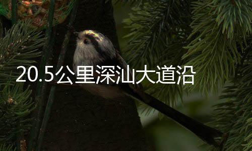 优化施工方案等一系列措施
