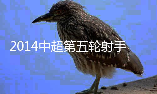 2014中超前5轮结束之后