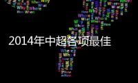 2014年中超各项最佳名单