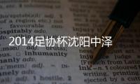 2014足协杯沈阳中泽vs北京国安