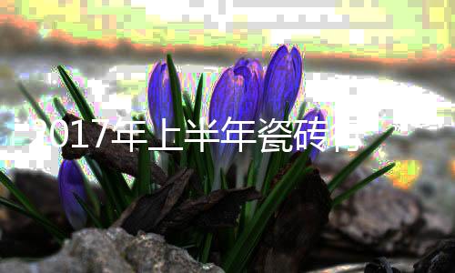 大理石瓷砖产品不断细分