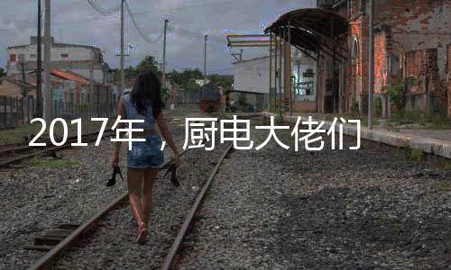 海尔的不止大厨电产业