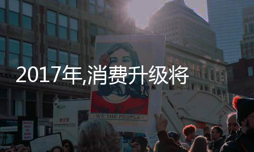 收入增添后的将机消费者