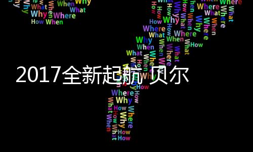 依靠强大的再登资金链