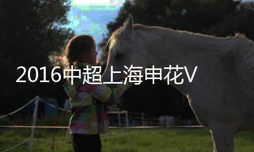 上海上港主场1-1平上海申花