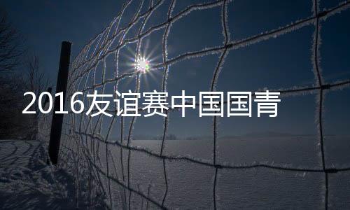2016年国际青年足球邀请赛