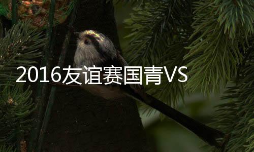 2016年国际足球邀请赛