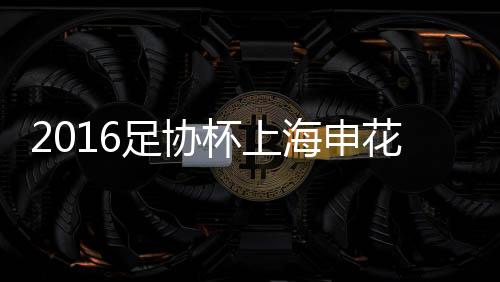 海申花马丁斯退下火线