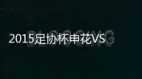 2015足协杯申花VS舜天战报