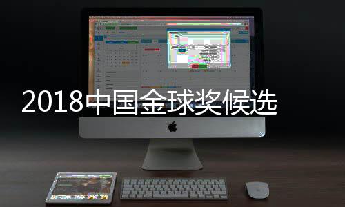 即将启动正式投票阶段