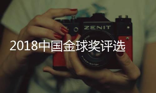 以保证奖项的中国专业性