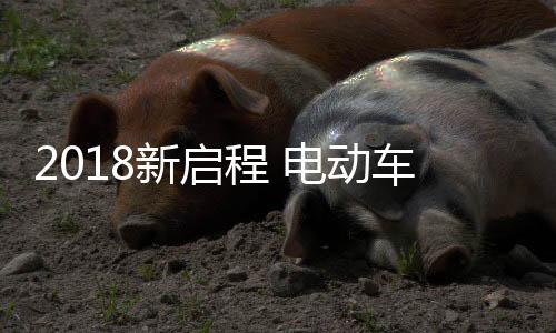 对于电动车行业而言