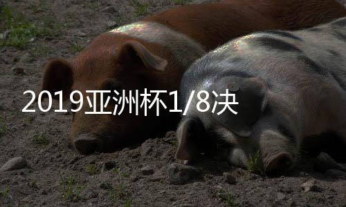 F组的赛对形势和E组完全一样