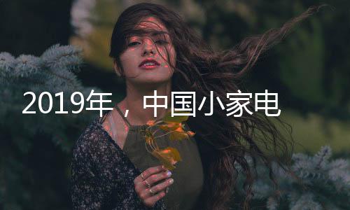 年中市场急需的国小个方产品