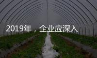 2019年	，企业应深入骨髓的塑造小家电品牌