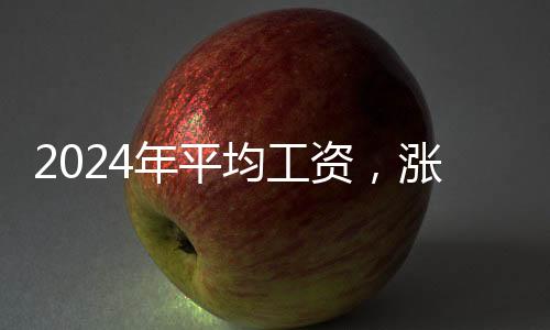 分别是涨了信息传输	、2024年