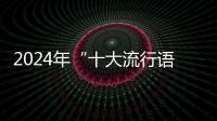2024年“十大流行语”发布，“未来产业”“city不city”等入选