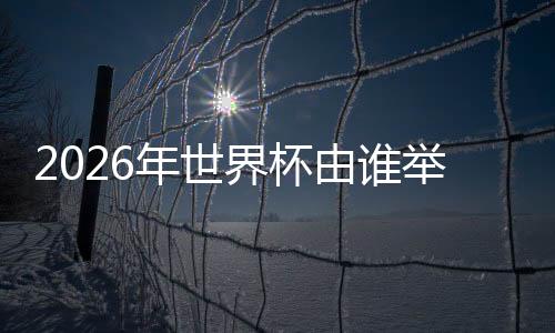 由举对中国最大的利好消息是