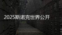 快排公司十年历程，霸屏兔 seo 的崛起与坚守