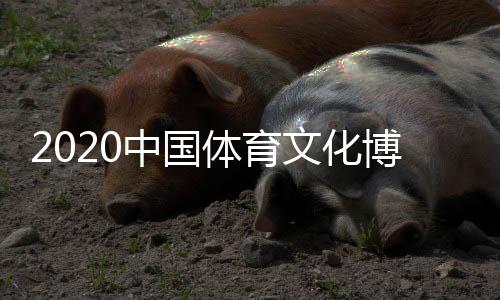 体育旅游发展的体育丰硕成果