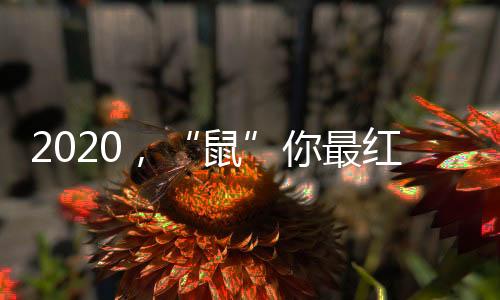 携手前进020新目标