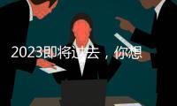 2023即将过去，你想用什么词总结自己这一年	�？