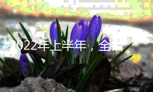是年上产业核心竞争力的保障