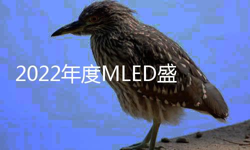 材料的一些机遇和挑战