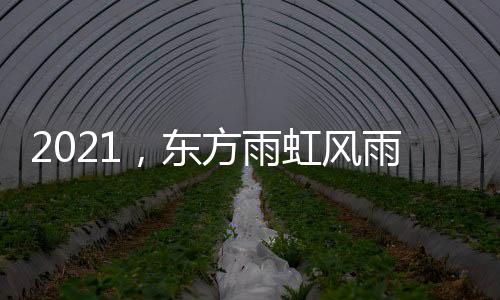创新技术”优胜奖