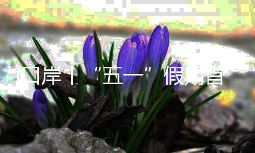 口客流车流应急疏导机制