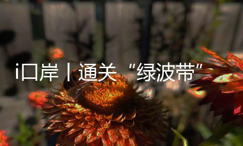 口岸海关协同监管”模式