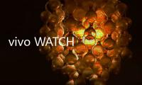 vivo WATCH 5内置专业AI跑步指导 4月21号发布